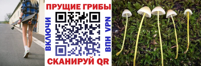 blacksprut ССЫЛКА  что такое наркотик  Шелехов  Галлюциногенные грибы прущие грибы 